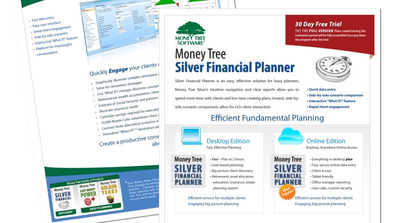 Graphic Design of Silver Financial Planning software brochure